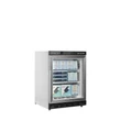 Tefcold Bemutató fagyasztó – 120 L – fehér
