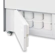 Tefcold Ventillációs fagyipult – 255 L – fehér - 10 tégely
