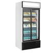 Tefcold Kétajtós bemutató hűtő – 462 L – reklámfelülettel