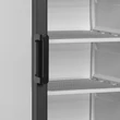 Tefcold Bemutató fagyasztó, reklámfelülettel – 270 L – fehér